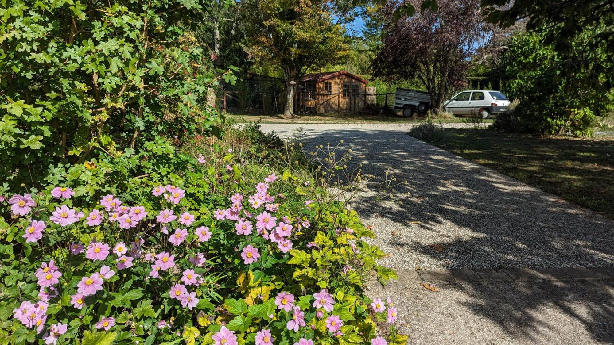 Au Bonheur De Cisse Bed and Breakfast Chouzy-sur-Cisse Exteriör bild