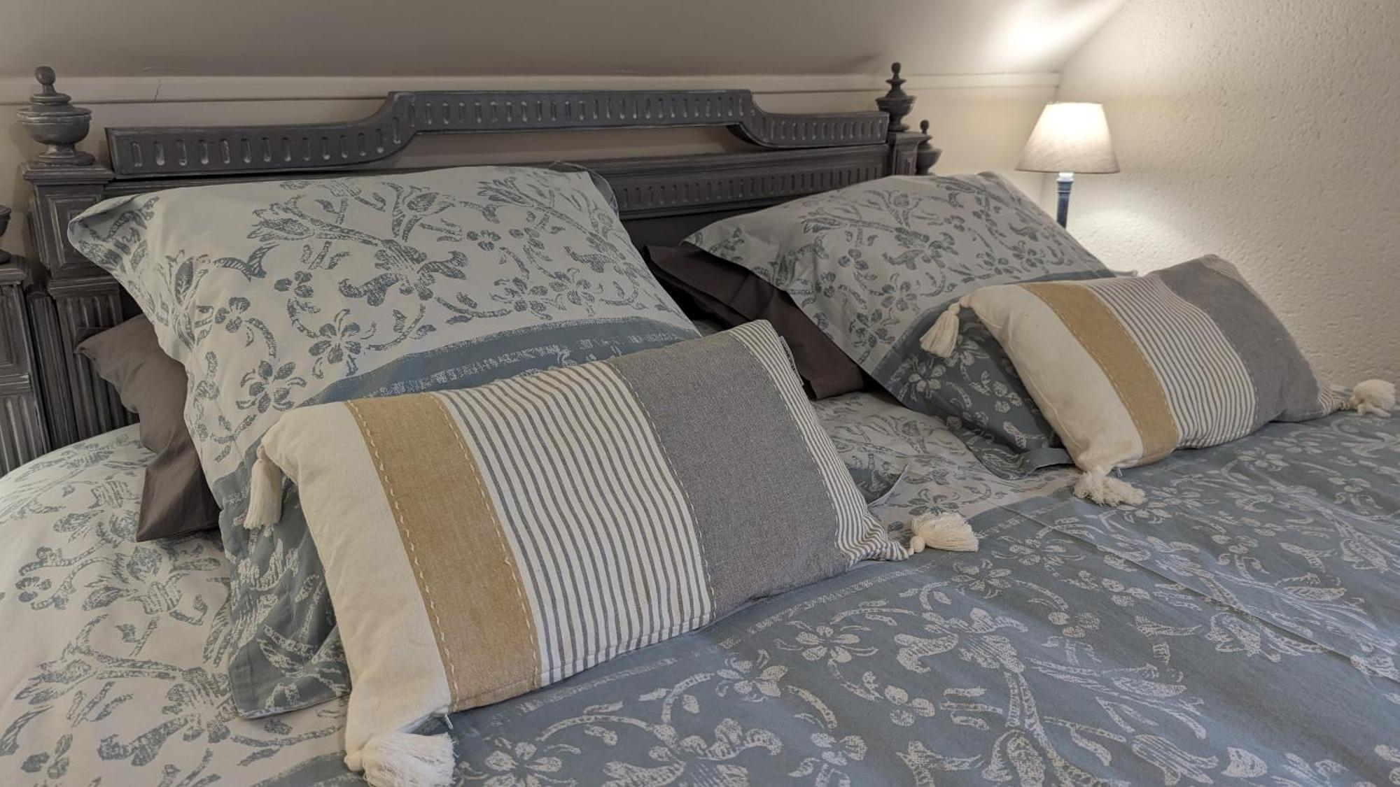 Au Bonheur De Cisse Bed and Breakfast Chouzy-sur-Cisse Exteriör bild